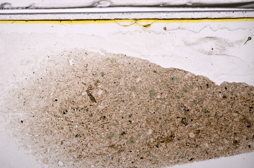 Plane Polarized, E35952