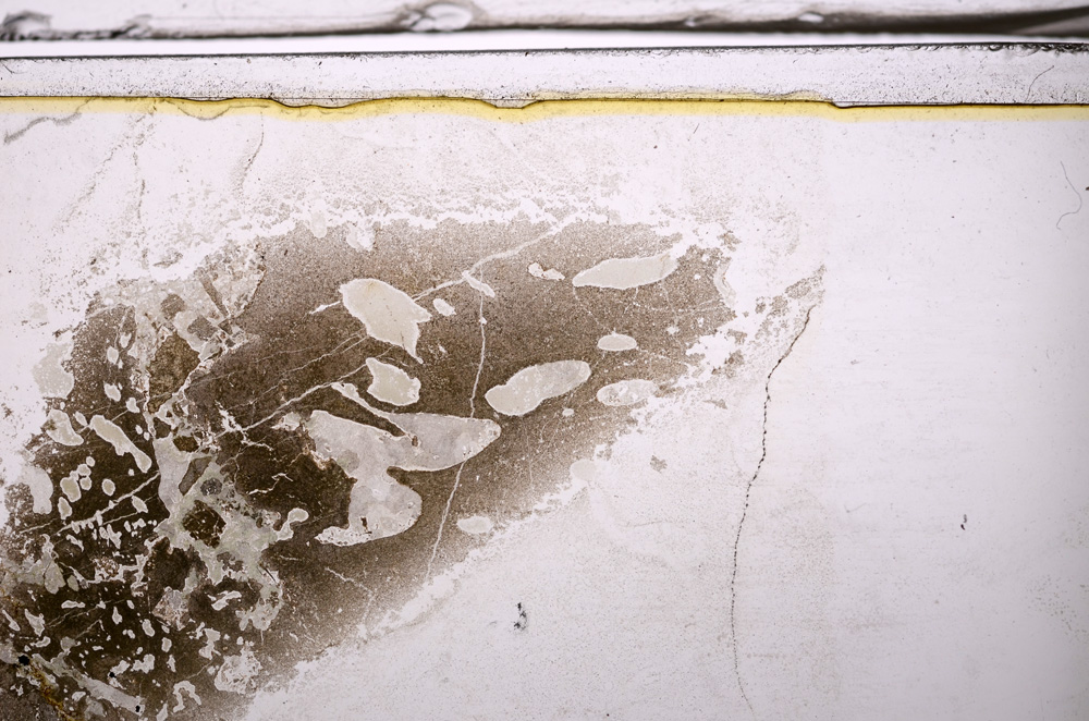 Plane Polarized, E35955