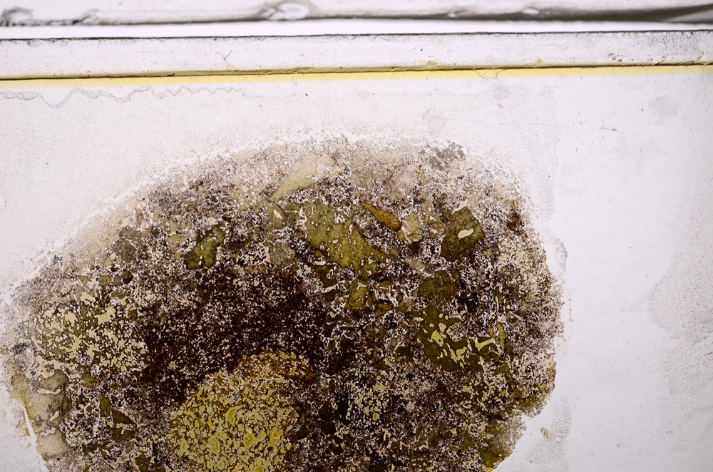 Plane Polarized, E35957