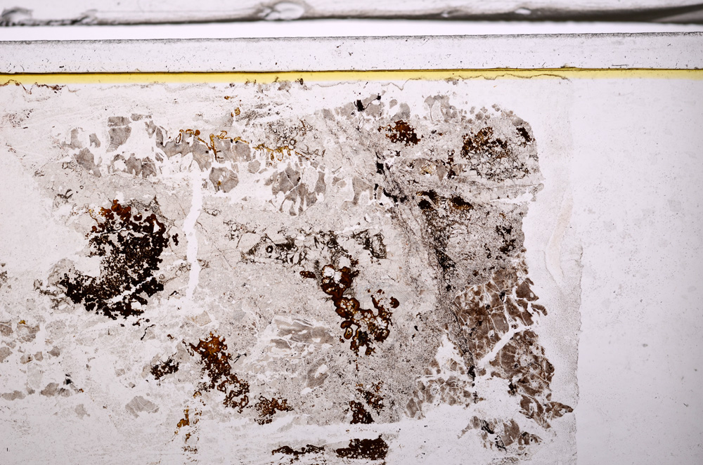 Plane Polarized, E35959