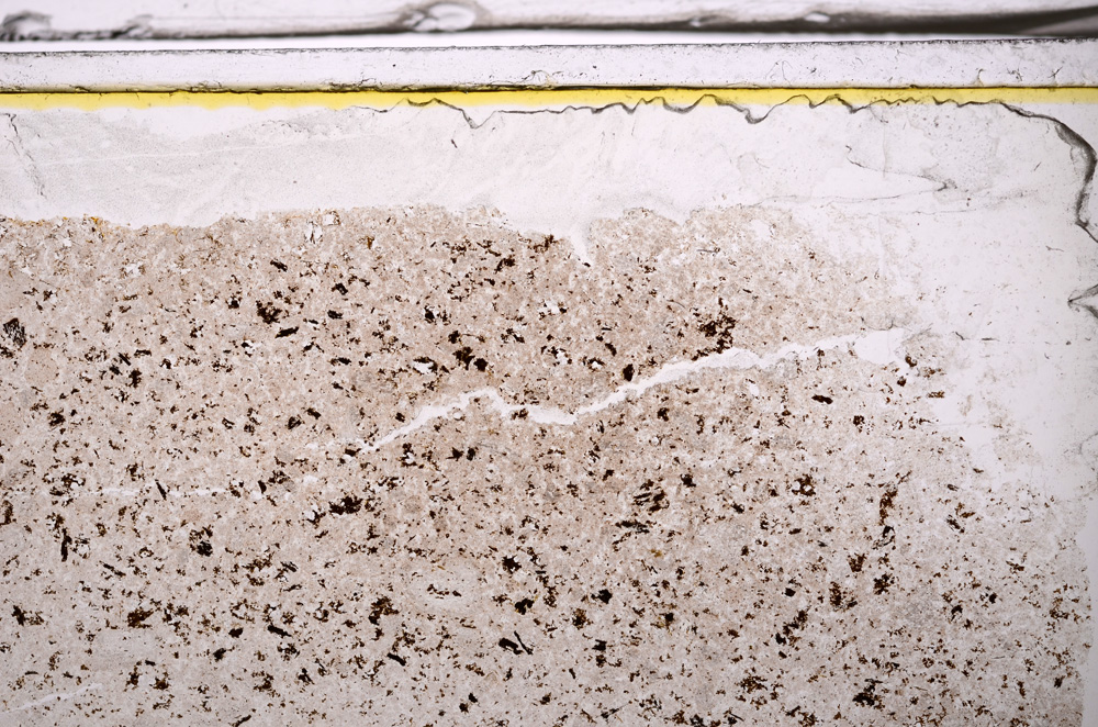 Plane Polarized, E35970