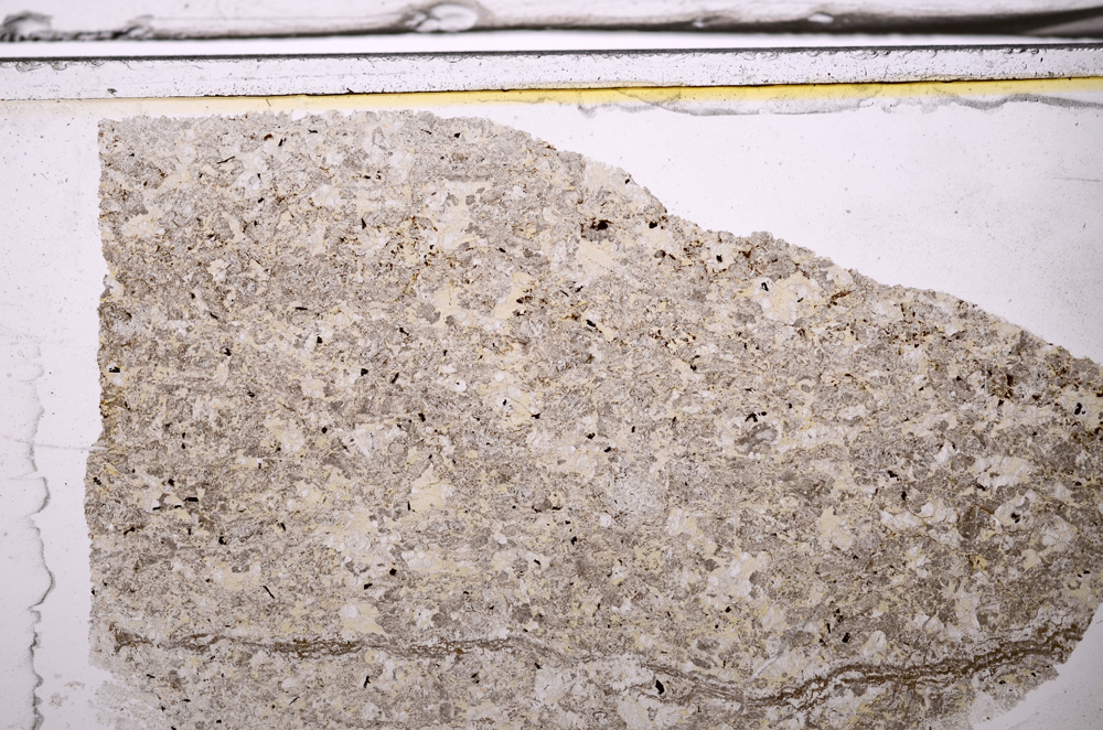 Plane Polarized, E35983