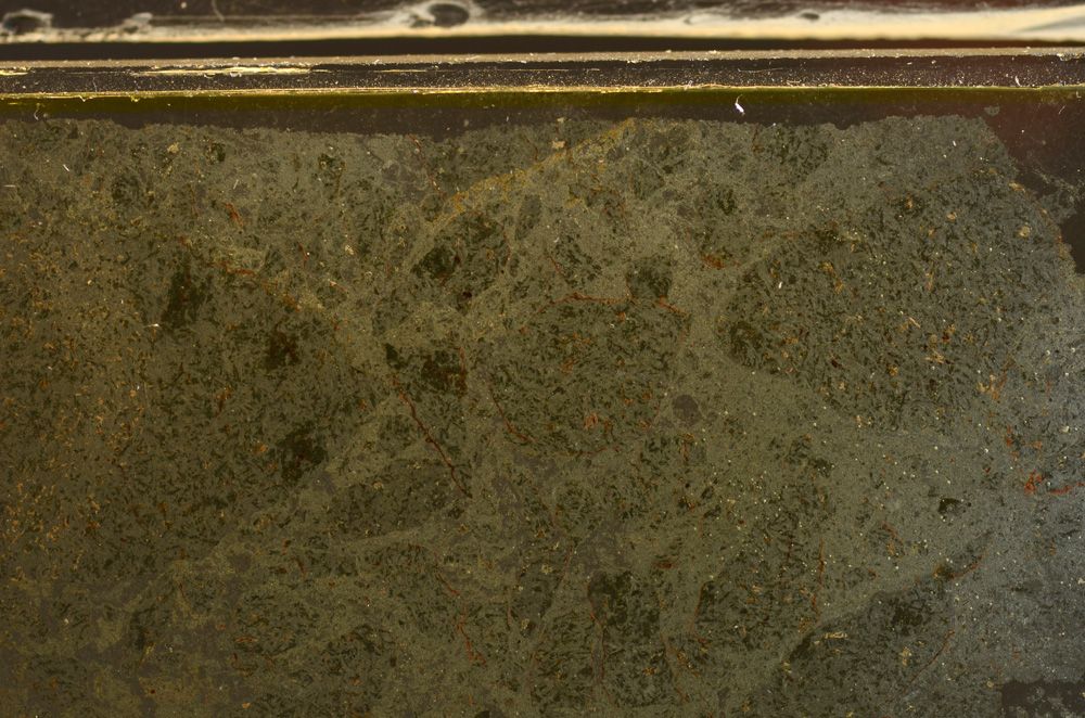 Plane Polarized, E36007