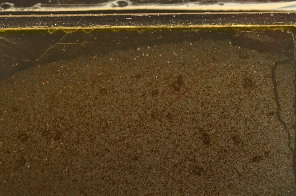 Plane Polarized, E36010