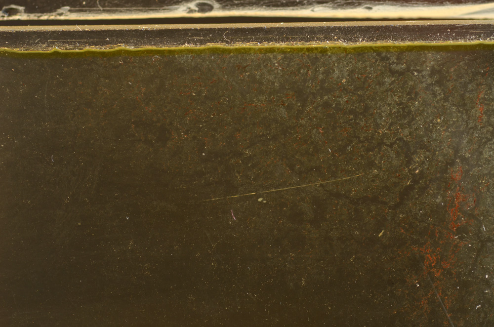 Plane Polarized, E36011