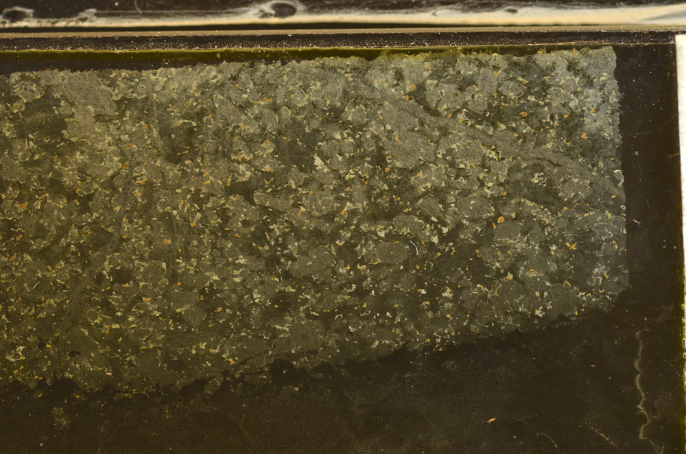 Plane Polarized, E36015