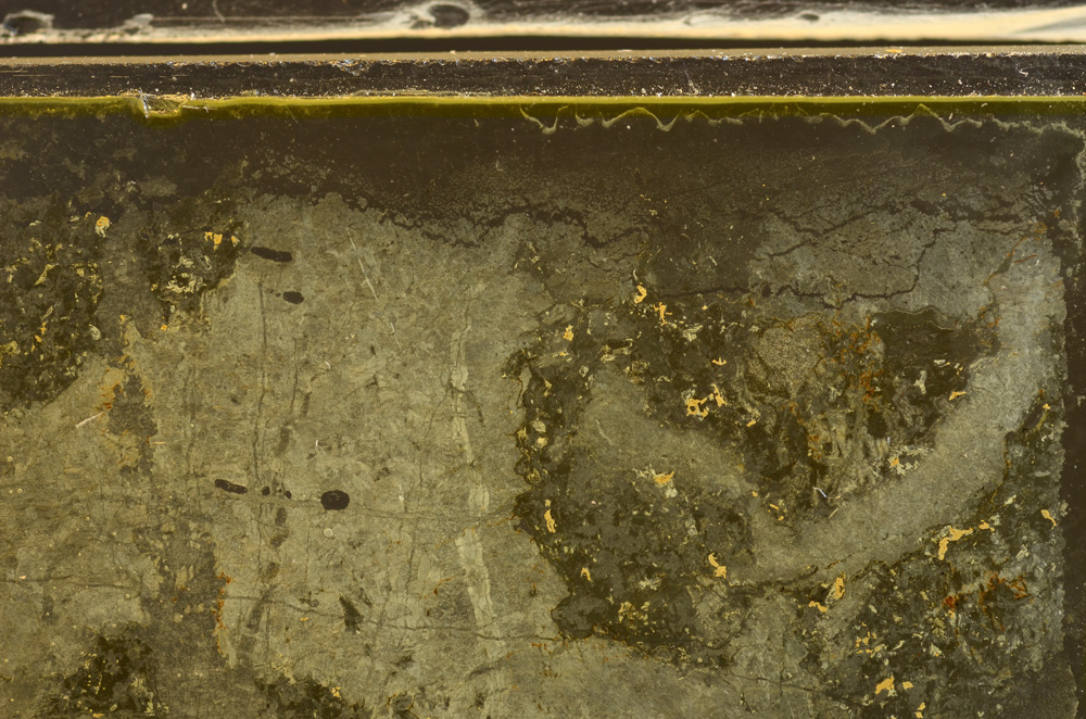 Plane Polarized, E36017