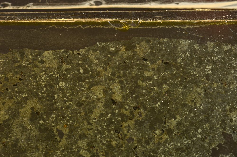 Plane Polarized, E36021