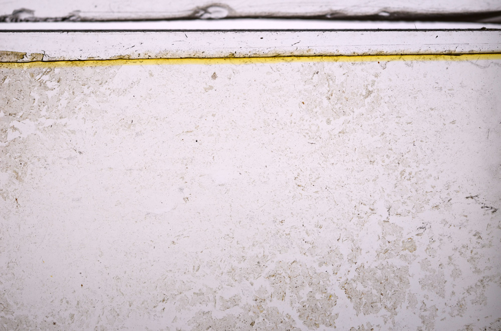 Plane Polarized, E36142