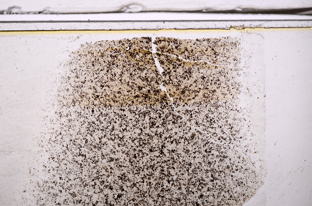 Plane Polarized, E36156