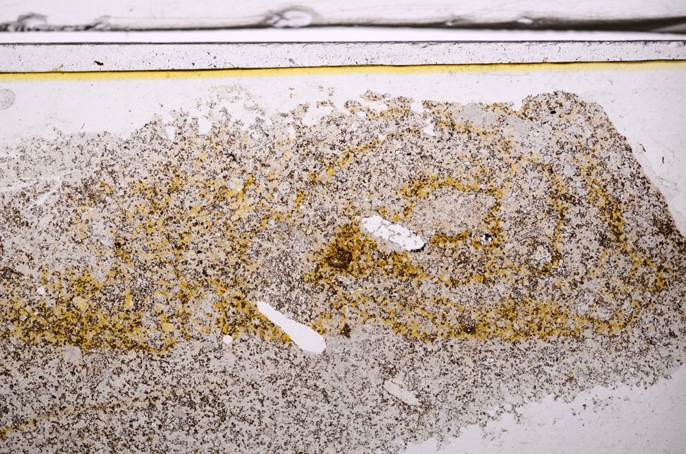 Plane Polarized, E36158