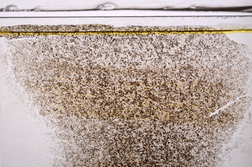 Plane Polarized, E36160