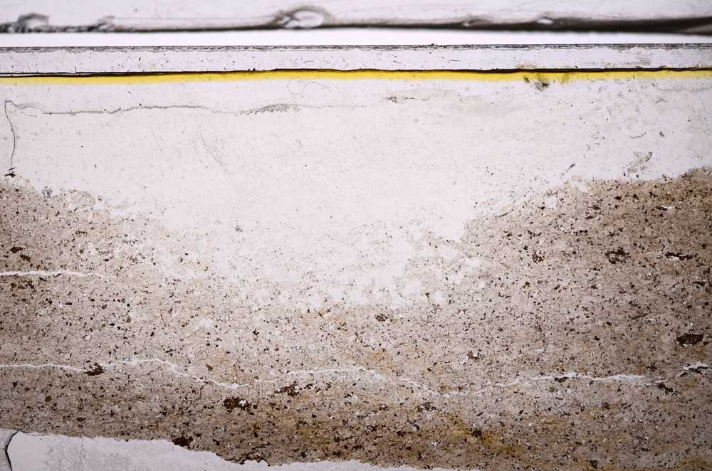 Plane Polarized, E36163