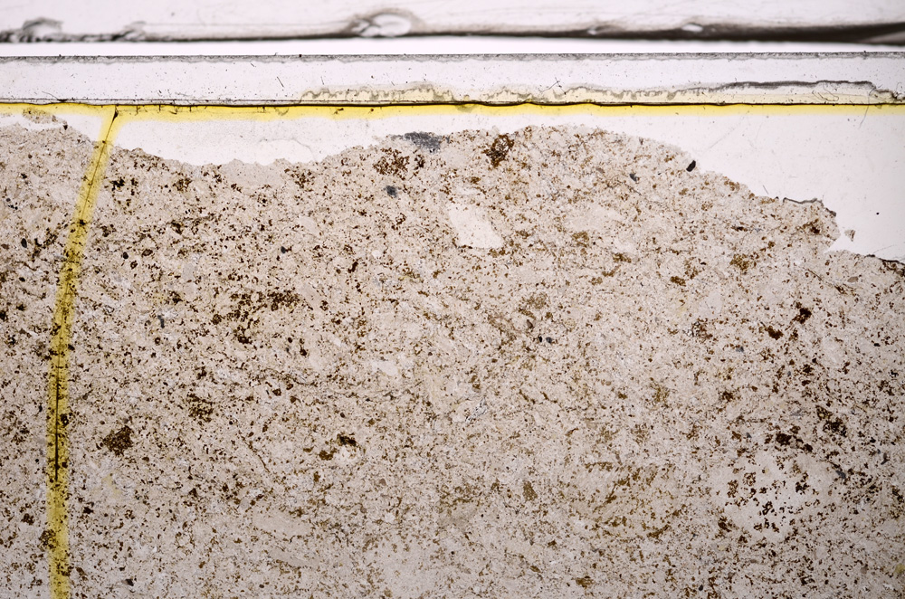 Plane Polarized, E36172