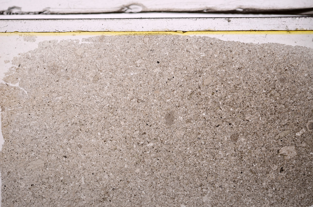 Plane Polarized, E36174