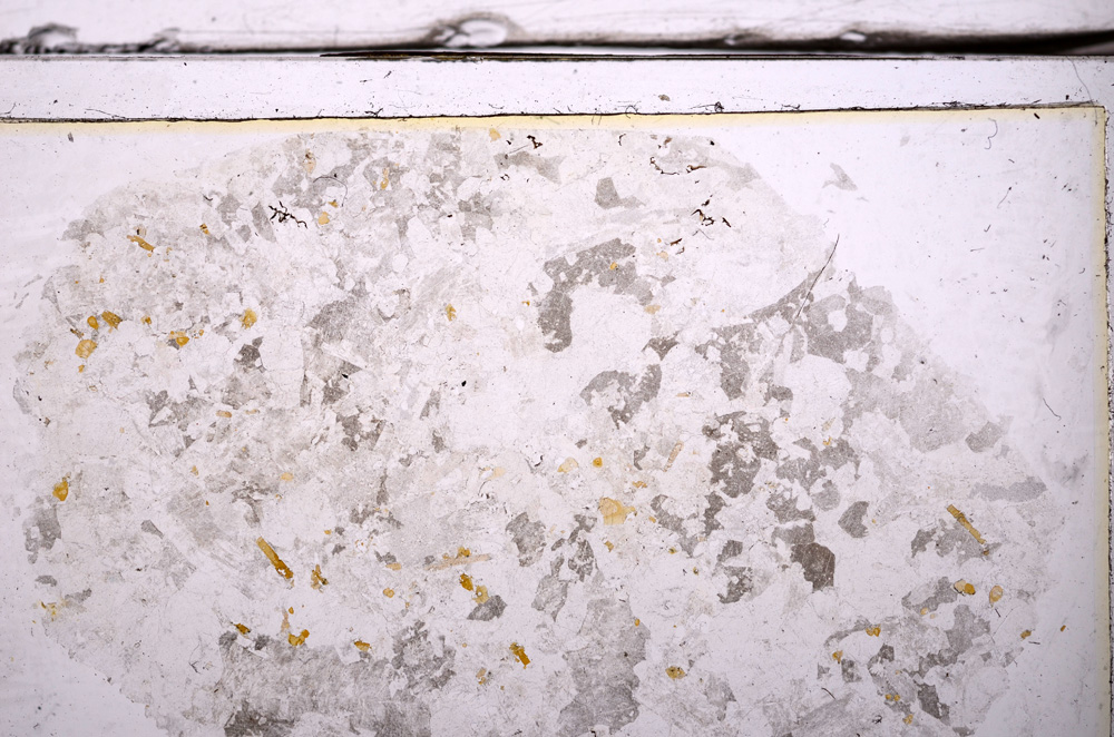 Plane Polarized, E36221