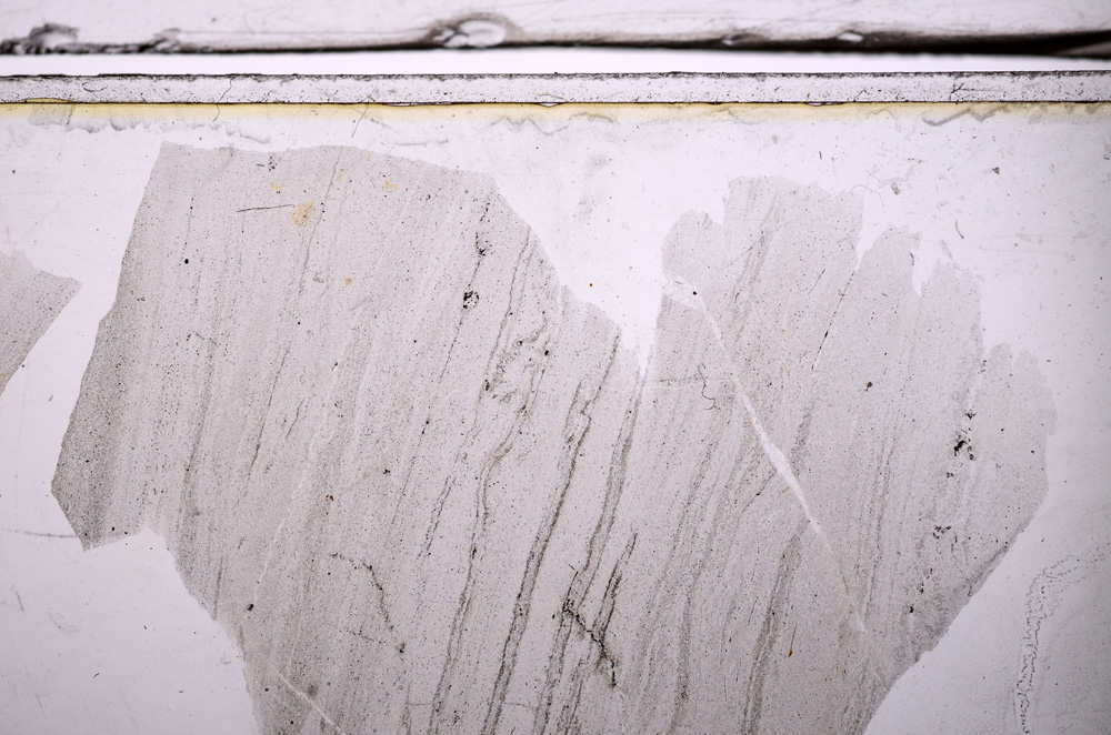 Plane Polarized, E36239