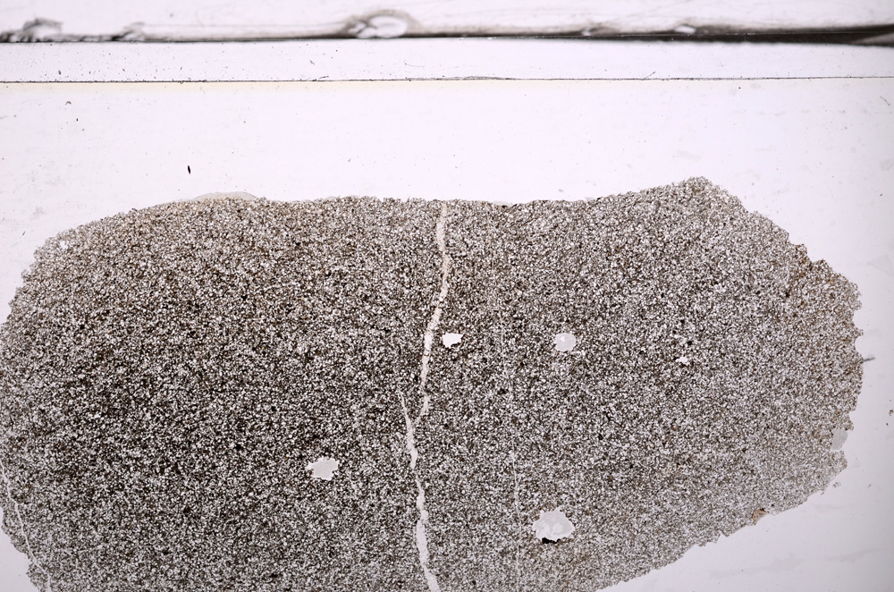 Plane Polarized, E36261