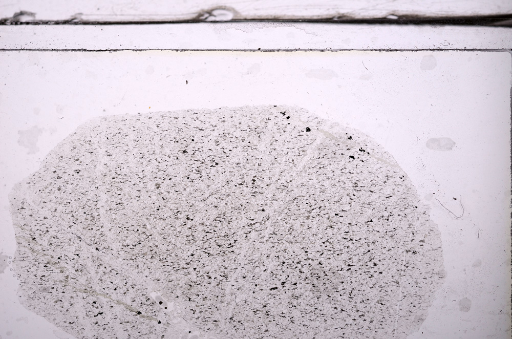 Plane Polarized, E36265