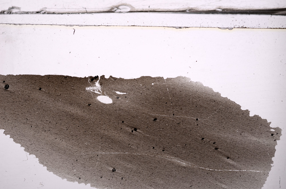 Plane Polarized, E36293