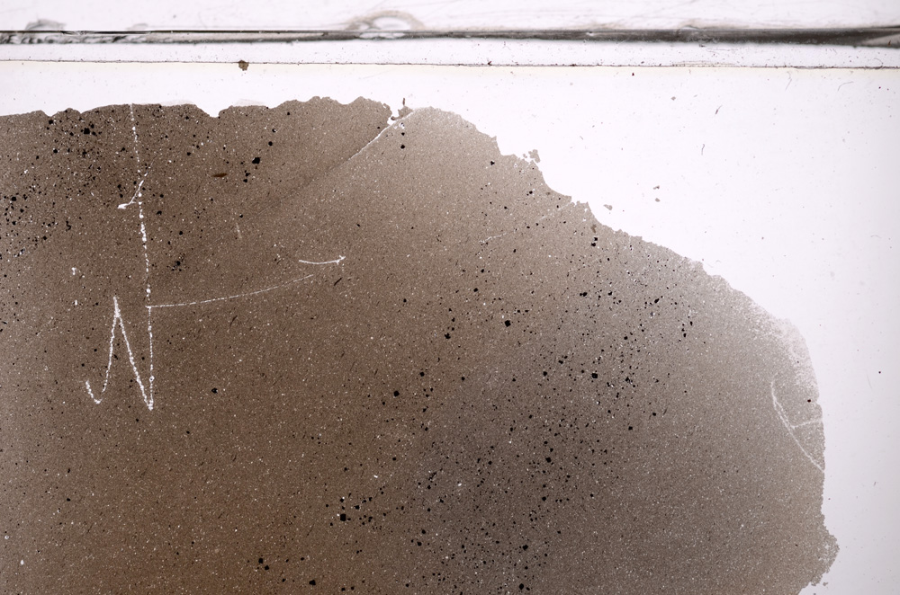 Plane Polarized, E36295