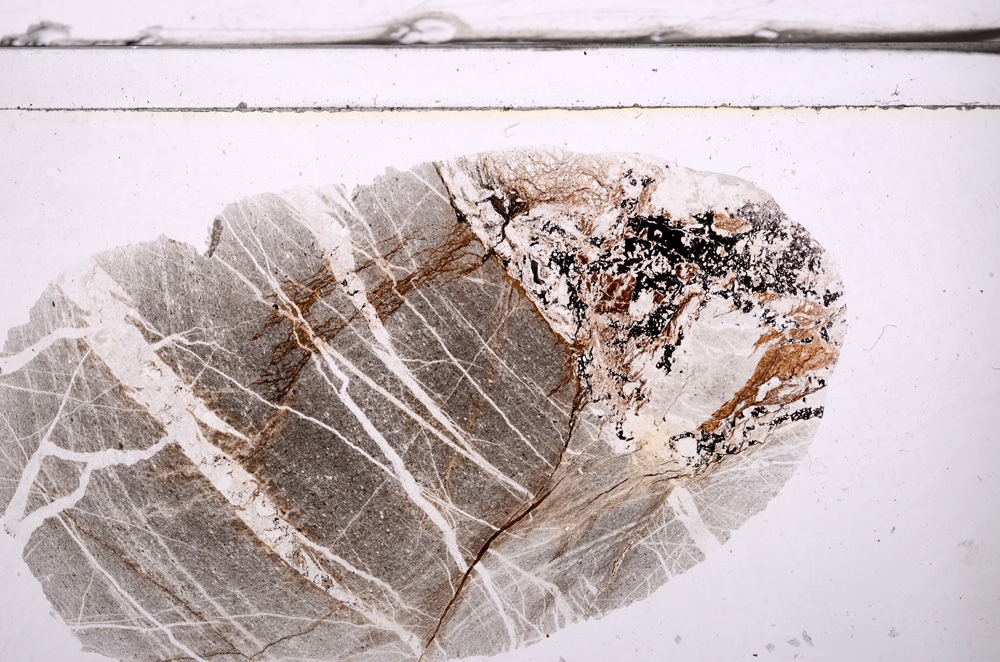 Plane Polarized, E36315