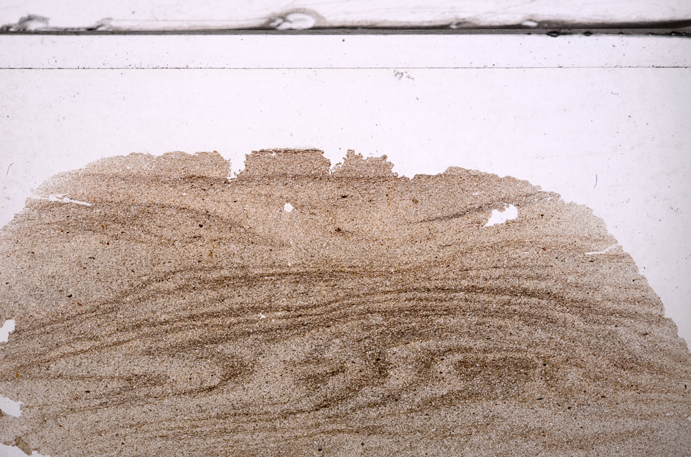 Plane Polarized, E36318