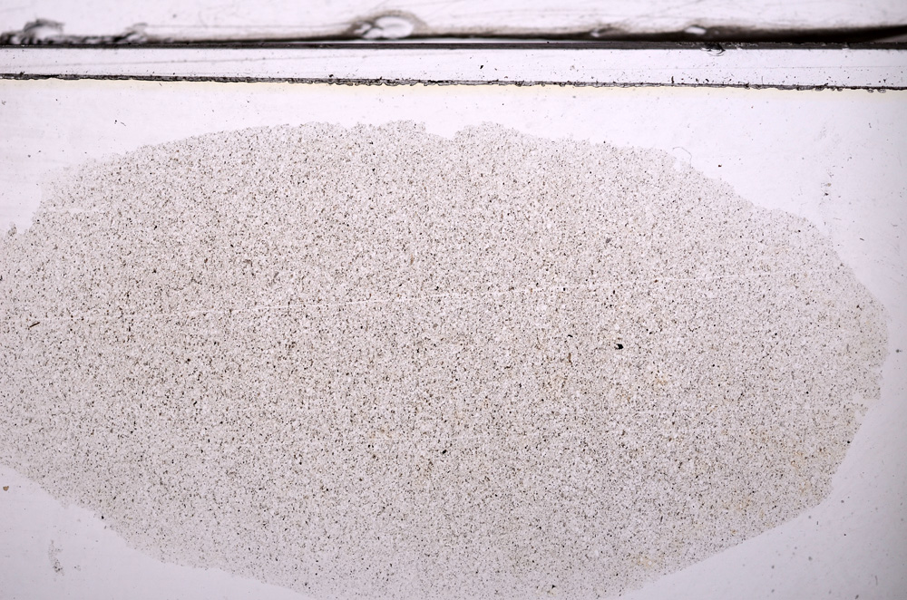 Plane Polarized, E36321