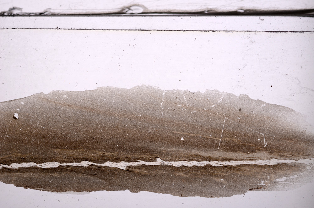 Plane Polarized, E36323