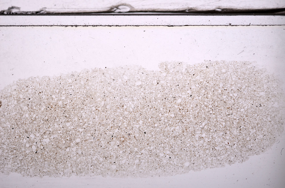 Plane Polarized, E36324