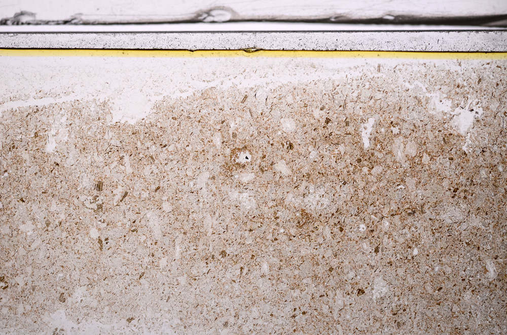 Plane Polarized, E36386