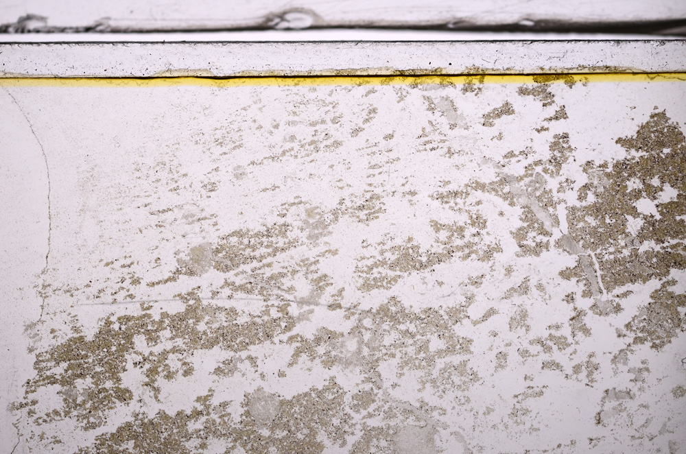 Plane Polarized, E36396