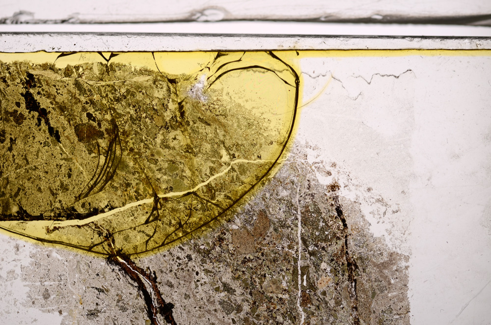 Plane Polarized, E36397