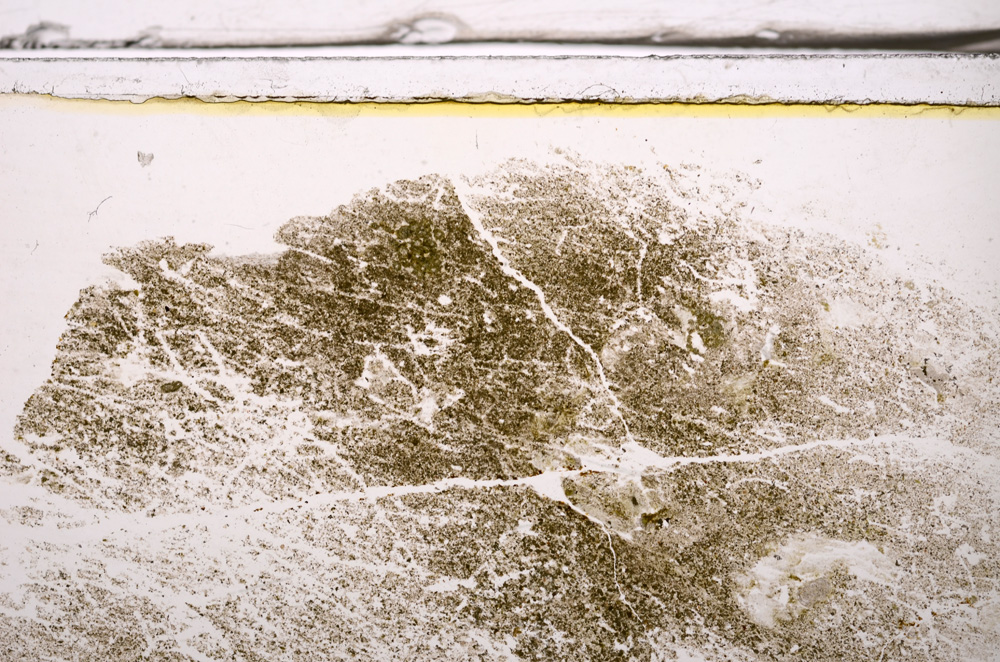 Plane Polarized, E36398