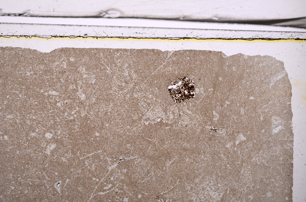 Plane Polarized, E36608