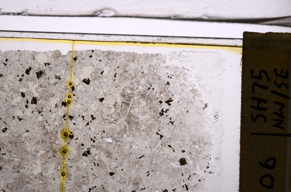 Plane Polarized, E36623