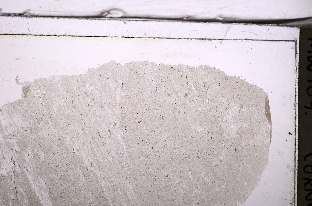 Plane Polarized, E36653