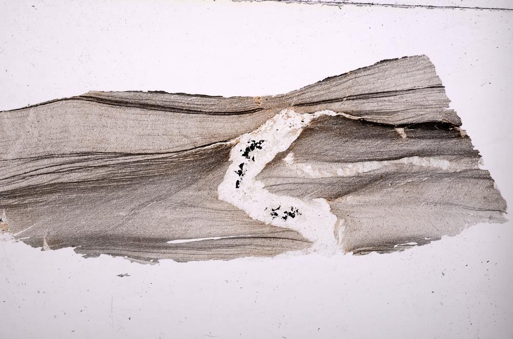 Plane Polarized, E36673