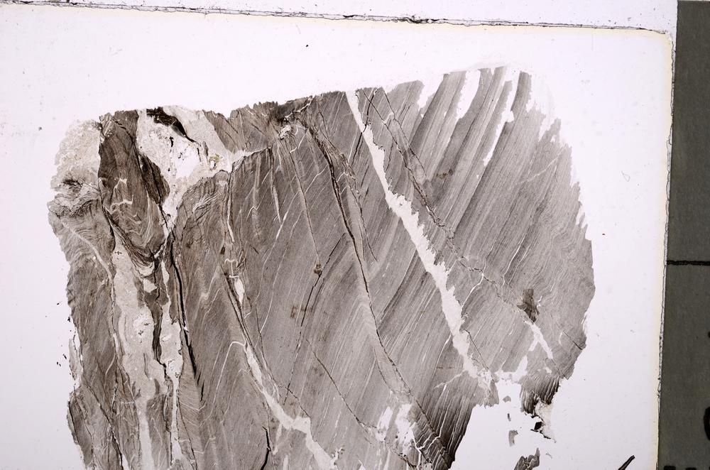 Plane Polarized, E36695