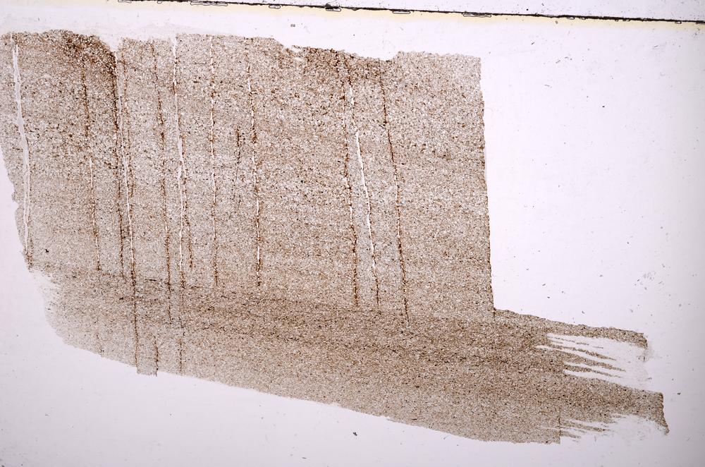 Plane Polarized, E36713