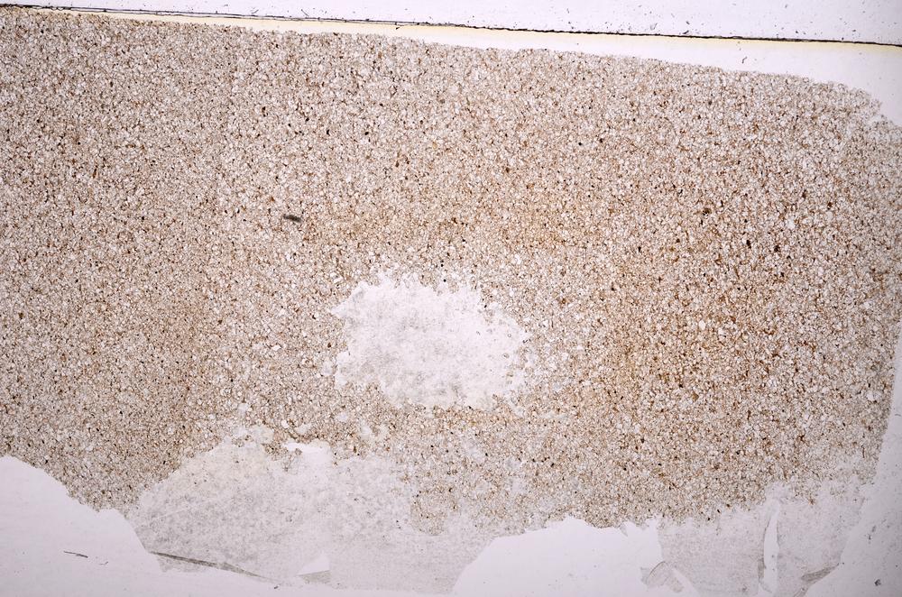 Plane Polarized, E36714