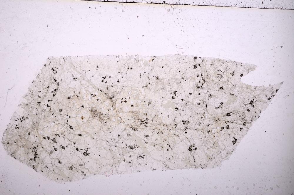 Plane Polarized, E36726