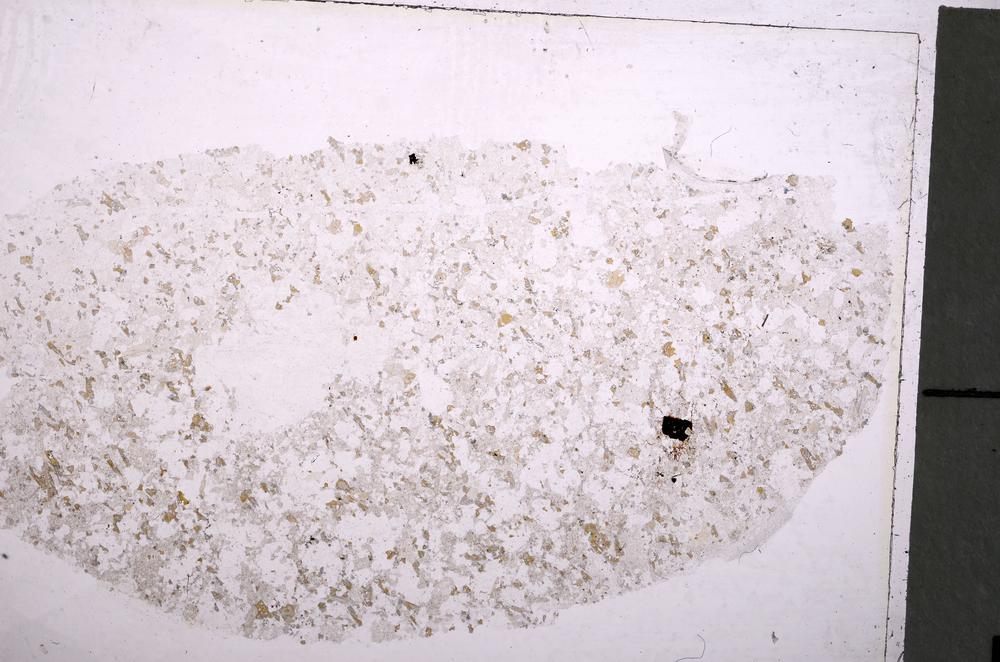 Plane Polarized, E36806