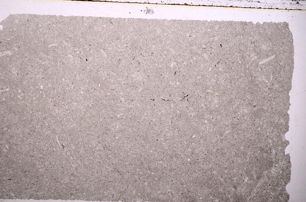 Plane Polarized, E36810
