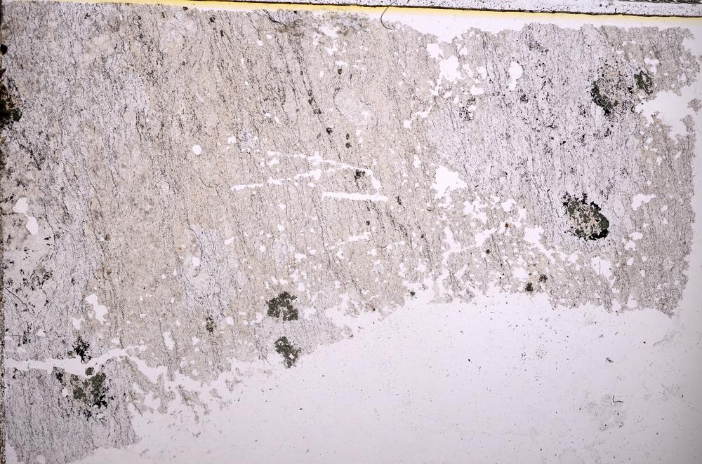 Plane Polarized, E36827