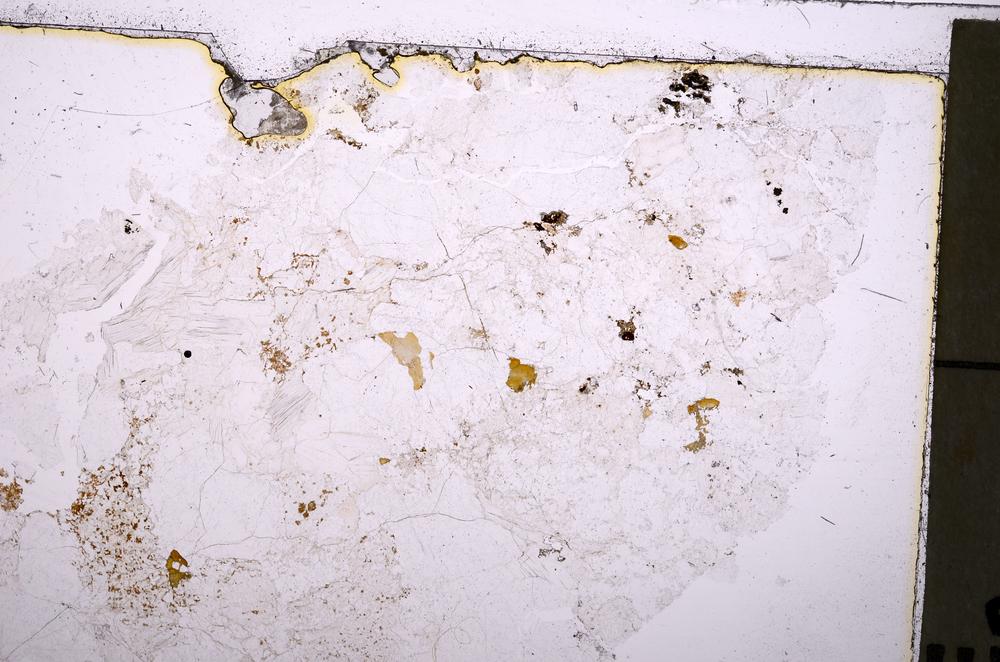 Plane Polarized, E36889