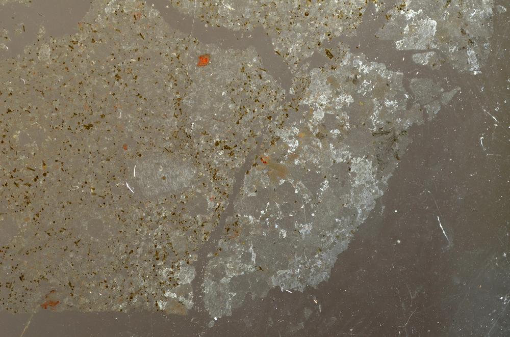 Plane Polarized, E36893