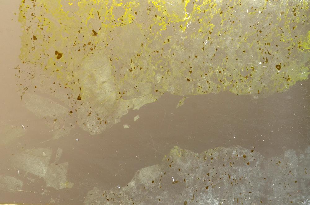 Plane Polarized, E36895