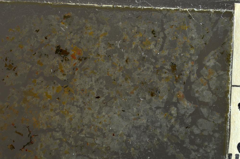 Plane Polarized, E36897