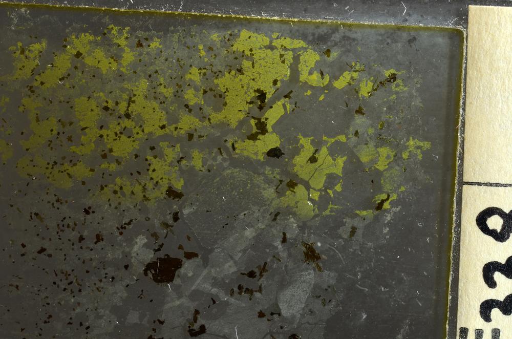 Plane Polarized, E36931